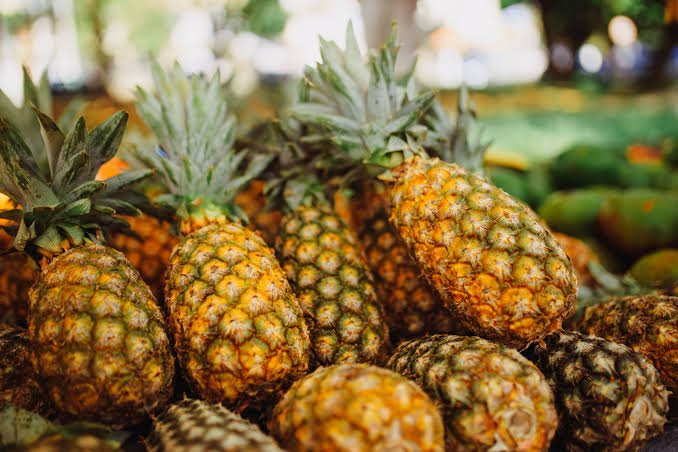 Nagaland farmer cooperatives flag off their first international export consignment of organic pineapples for overseas markets.