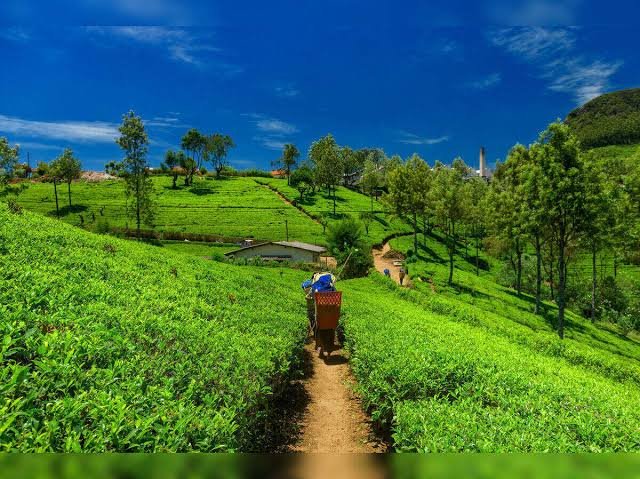 Sikkim organic farmers prepare agricultural produce for expanded exports to Southeast Asian markets under a new government subsidy scheme.