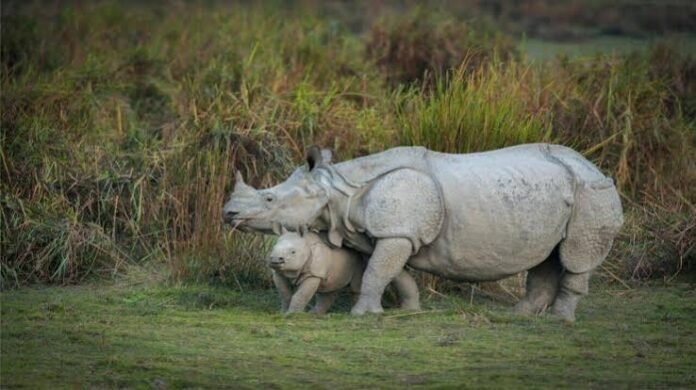 Political controversy surrounds Assam's reported proposal to reduce the Eco-Sensitive Zone around Kaziranga National Park from 10 km to 1 km.