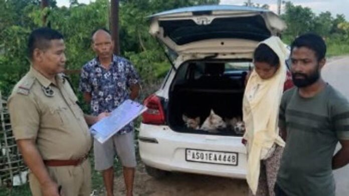AA2aHwKM Assam: Karbi Anglong Police rescue dogs from alleged illegal smuggling operation
