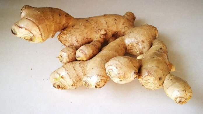 AA2aUoFc Mizoram procured over 2 lakh quintals of ginger this year: Minister