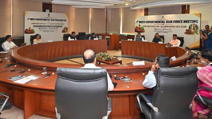Assam forms task force to monitor agarwood trade, promote organised sector