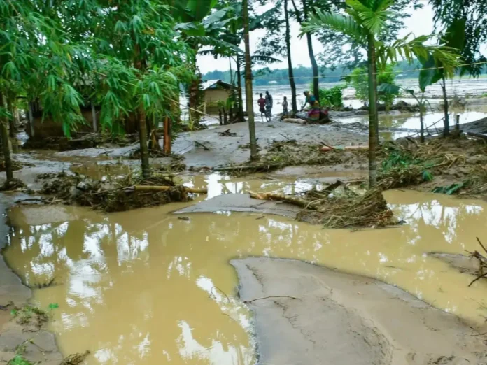 Swollen rivers cover extensive agricultural fields in Assam, with more than 14,000 hectares of cropland reported submerged during the monsoon.