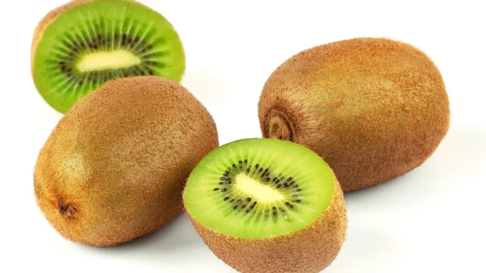 Farmers’ cooperatives in Arunachal Pradesh use cold-chain storage facilities to support organic kiwifruit exports.