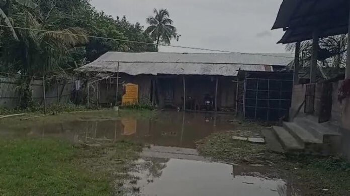 AA2bkpPt Assam: Artificial flood worsens in Rupahihat's Genduwa Pathar, 100 per cent farmland submerged
