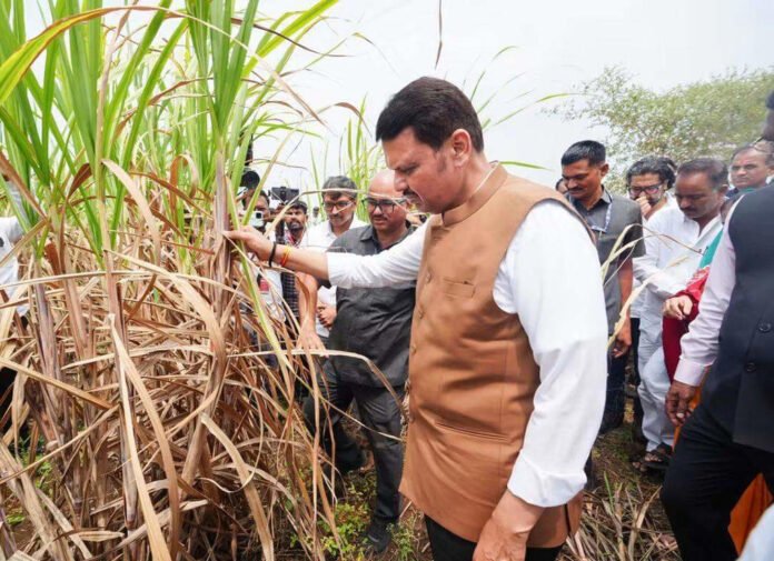 AA2cV1l3 CM visit to distressed areas a farce, our MLAs could not meet him: MVA