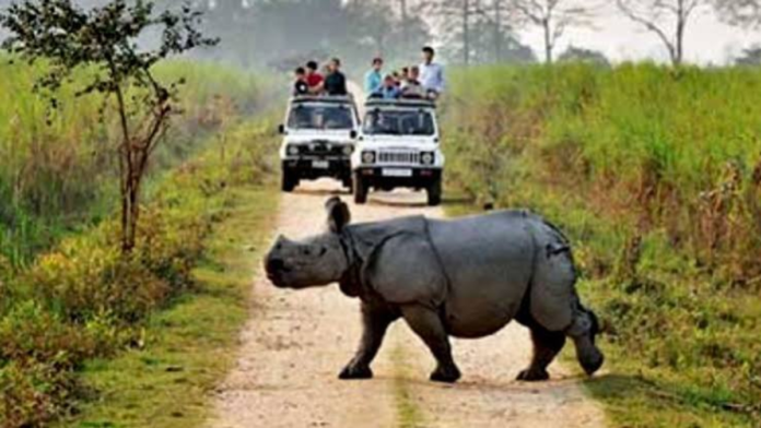 safeimagekit-images (7) Gaurav Gogoi questions the removal of the 2022 Kaziranga wildlife corridor notification, citing the omission of Panbari and seeking Assam government transparency.