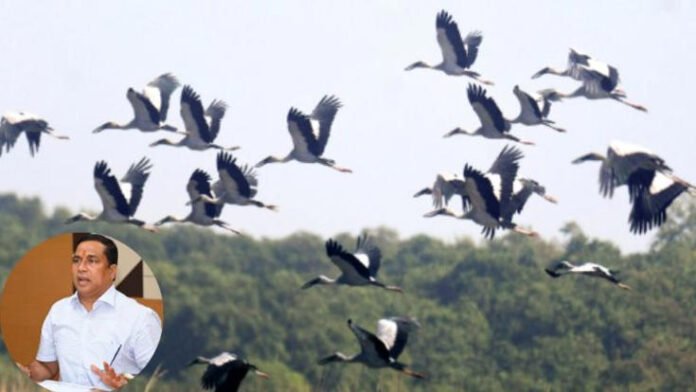 AA2d2J3z Assam's Pobitora records 35,371 visitors in 2025-26 as tourism focus shifts to conservation, local livelihoods