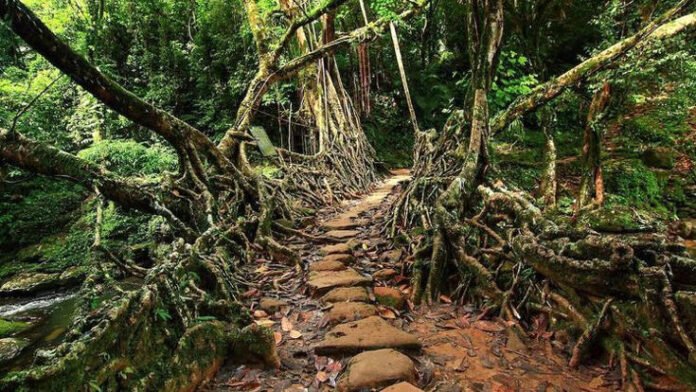 AA2daL2R Meghalaya shifts tourism focus to livelihoods, community-led growth and climate resilience