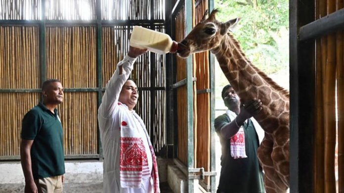 AA2donDN Assam zoo set for Rs 340-crore makeover, bird aviary and toy train among new attractions