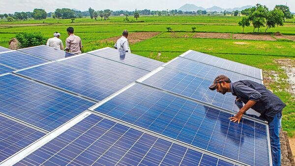 AA2fKCzN The government plans to add about 5GW of agrivoltaic capacity in about three years.