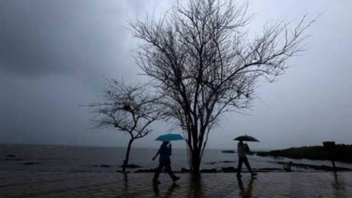 safeimagekit-images (12) (1) Rainfall