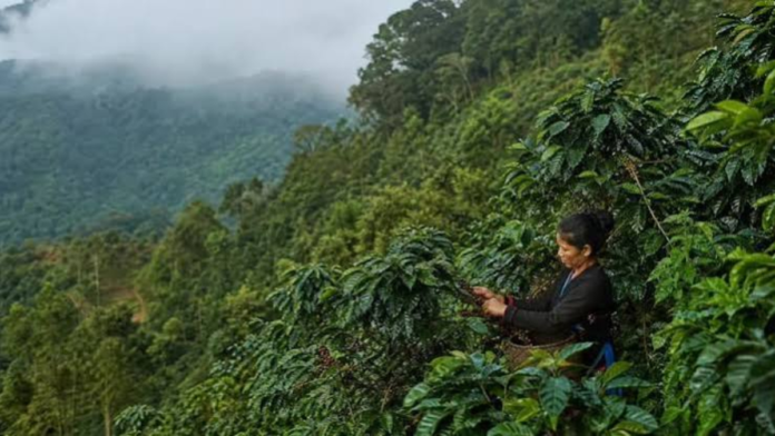 safeimagekit-images (12) (1) Nagaland