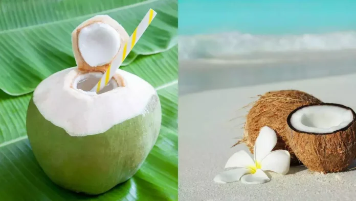 coconut water