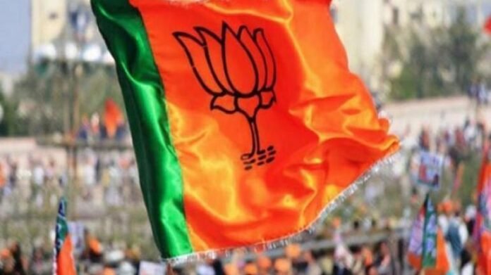 BJP Flag